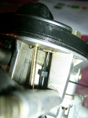 DSCI1216.JPG