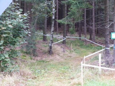 GrößenänderungP1010300.JPG