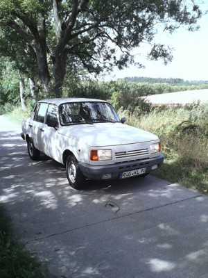 ruegenwald.jpg