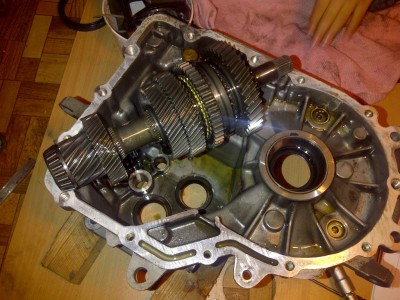 IMG-20141128-01355 (Medium).jpg