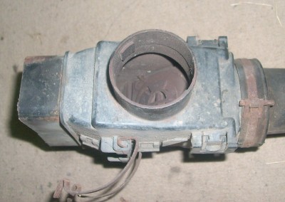 DSCI7555.JPG