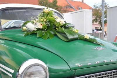Bild 450.jpg